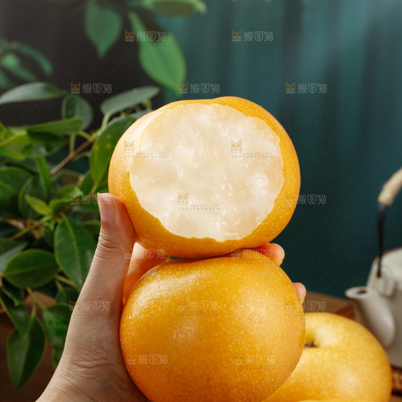 秋月梨