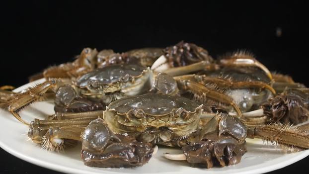 大闸蟹